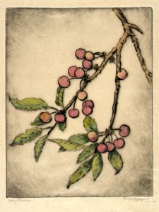 Cerises de mai - Bertha E. Jaques