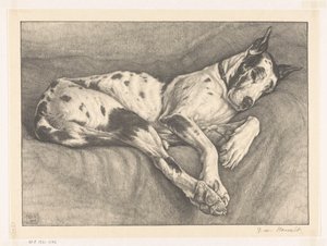 Chien endormi