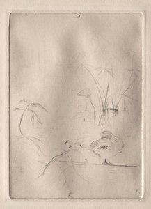 Le Canard