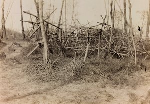 Album de la Première Guerre mondiale en Frioul-Vénétie Julienne : obstacle défensif (cavalli di Frisia), 05/1916 - Bertoni Bertoni