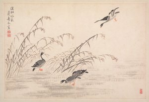 Album de calligraphie et de peintures