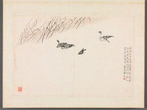Album de calligraphie et de peintures