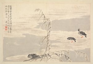 Album de calligraphie et de peintures - Bian Shoumin