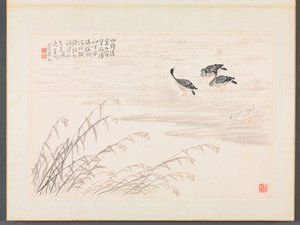 Album de calligraphie et de peintures