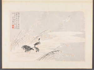 Album de calligraphie et de peintures
