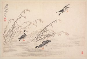 Album de calligraphie et de peintures, 18e siècle