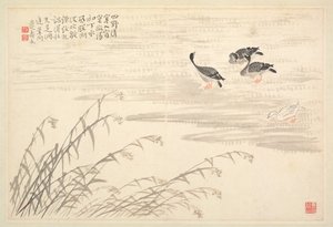 Album de calligraphie et de peintures, 18e siècle