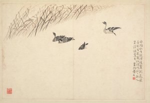 Album de calligraphie et de peintures, 18ème siècle