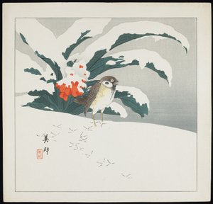 Oiseau dans la neige