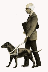 Chien guide d