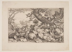Planche 13, tirée de Paysages avec fermes - Boetius Adams Bolswert