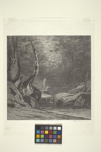 Arbre tordu