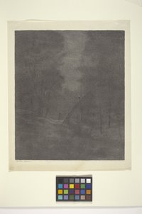 Bois Au Clair De Lune
