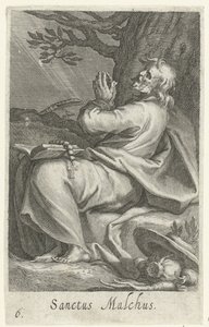 Saint Malchus de Chalcis en ermite (Kluizenaars, Sacra eremvs ascetarvm)