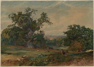 Vue près de Bedford