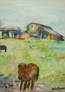 Poney dans le pré de la ferme, East Green, 1980
