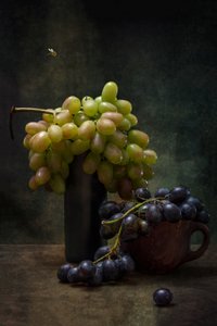  - Brig Barkow