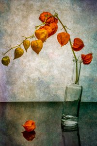  - Brig Barkow