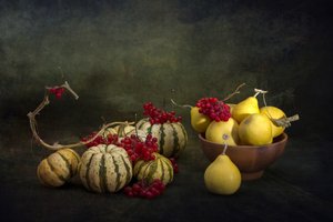  - Brig Barkow