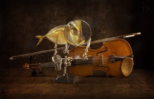  - Brig Barkow