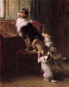 Un siège réservé, 1901