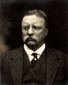 Theodore Roosevelt, c.1915