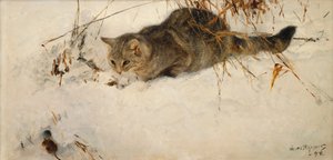 Un Chat Traquant une Souris dans la Neige