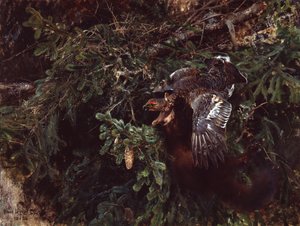 Martre et coq de bruyère - Bruno Andreas Liljefors