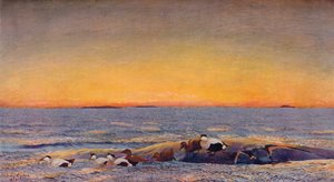 Lever de soleil, 1896