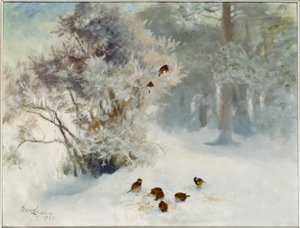 Nourrissage des oiseaux dans la neige