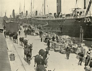 Navires de troupes à Port Tampa, Floride, États-Unis, Guerre hispano-américaine, 10 juin 1898, 1899