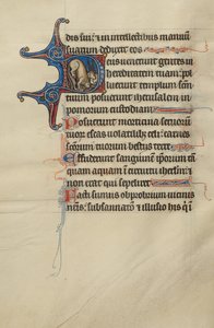 Initiale D : Un lion et des licornes