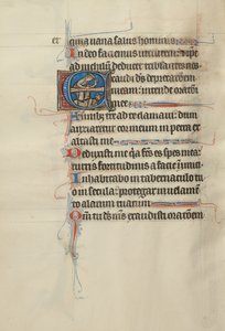 Initial E : David écrase le diable sous ses pieds - Bute Master