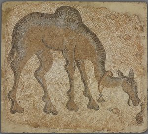 Fragment de mosaïque avec chameau broutant - Byzantine