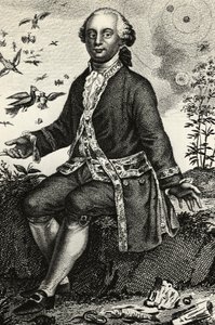Portrait de Georges-Louis Leclerc de Buffon (1707-1788), naturaliste et mathématicien français, gravure - J.B. and Brown J. Rowbotham