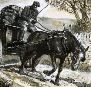 Les chevaux étaient sous-alimentés et surmenés