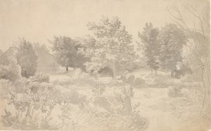 Un enclos avec des arbres