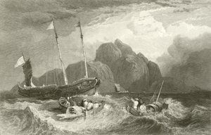 Île du Tigre - C. Stanfield