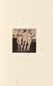 Les trois grâces, par Raffaelle