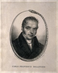 Carlo Francesco Bellingeri. Lithographie d
