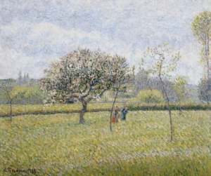 Pommier en fleur à Éragny, 1888