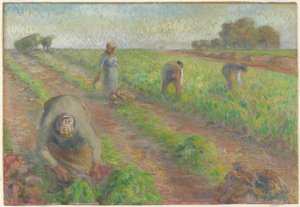 La Récolte des betteraves, 1881 - Camille Jacob Pissarro