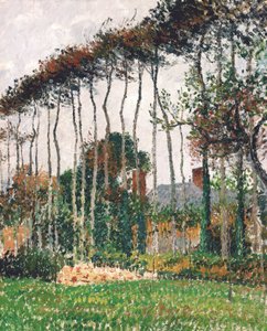 French : Les grands hêtres à Varengeville
French : Les grands hêtres rouges à Varengeville - Camille Pissarro