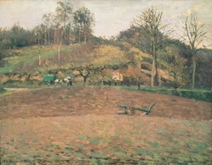 Terre labourée