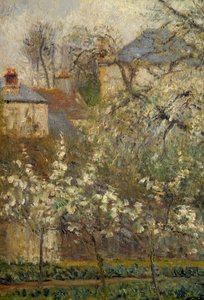 Jardin potager et arbres en fleurs au printemps à Pontoise