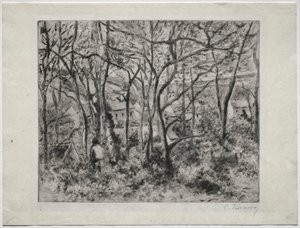 Paysage boisé à L