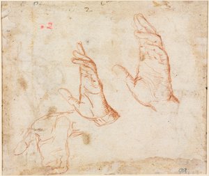 Étude de Mains (verso) - Camillo Procaccini