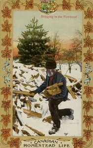 Canadian Homestead Life - Rentrer le bois de chauffage (photo) - Canadian Photographer