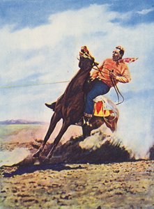 Cow-boy arrêtant rapidement son cheval (photo couleur)