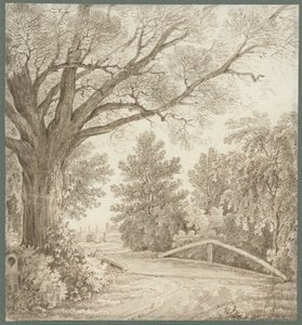 Chemin de campagne sur un pont simple près d